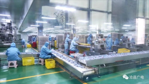 河北省农产品加工业发展大会沧县分会场在沧州美枣王食品举办，物流软件技术开发赋能产业升级